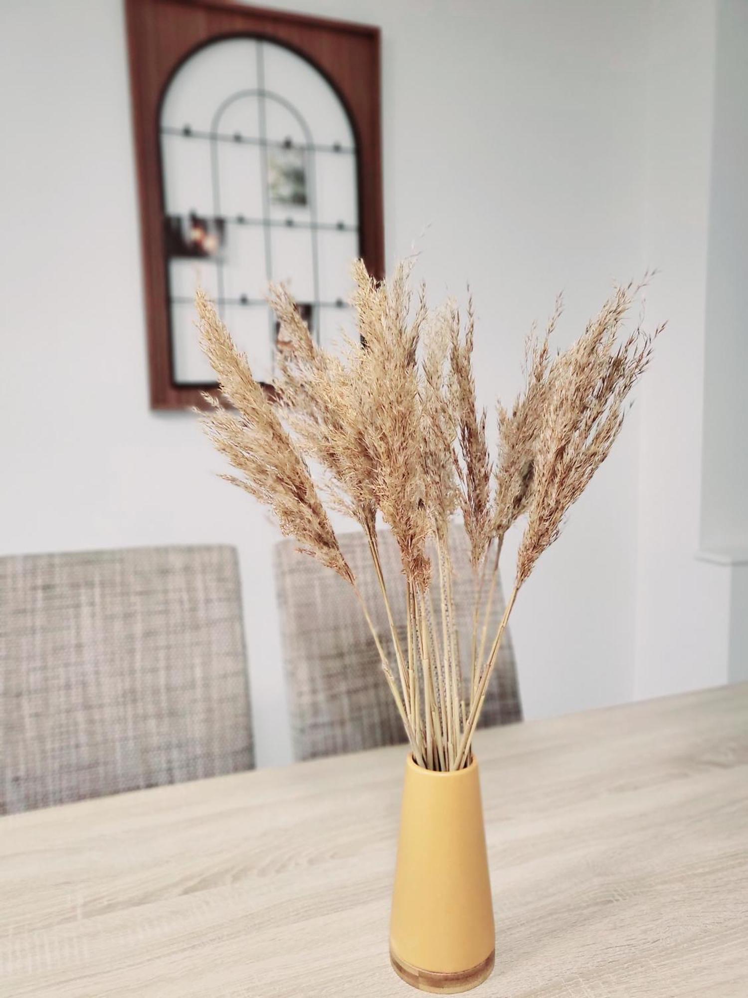 Le Chaleureux, 5Min Bale,Parking Apartment Saint-Louis  Ngoại thất bức ảnh